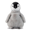 Arora Arthur Penguin Front view Arora Arthur Penguin Front view