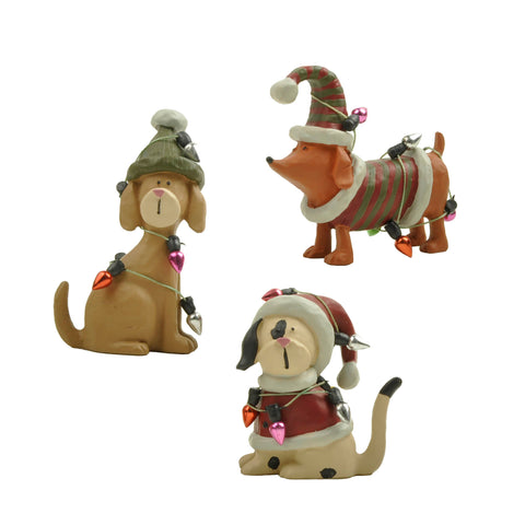 Heaven Sends Dogs in Festive Dress