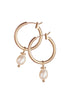 Hot Tomato Pearl Drop Captured on Hoop Earrings Matte Gold Hot Tomato Pearl Drop Captured on Hoop Earrings Matte Gold