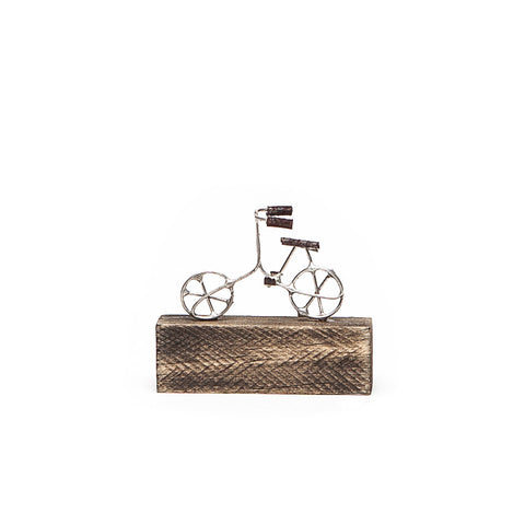 Sarah Jane Brown Bicycle