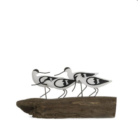 Shoeless Joe Avocets on a Log