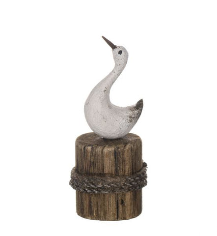 Shoeless Joe Cute Bird on Groyne