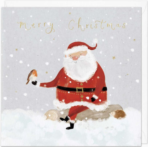 Santa and Robin Christmas Card