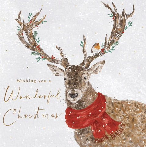 Robin in the Antlers Christmas Card