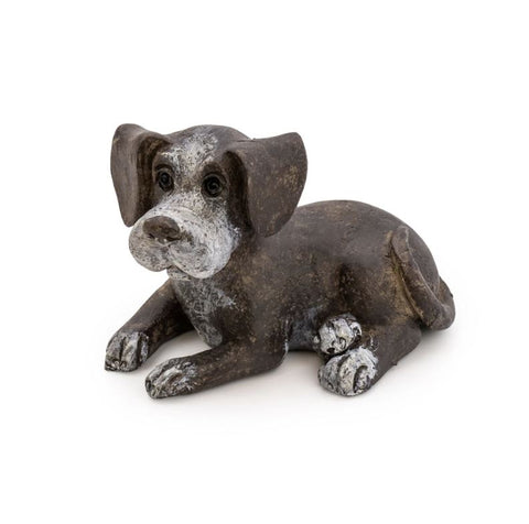 Small Listening Puppy