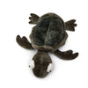Jellycat Tommy Turtle above