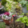 Ladybird on Stick Garden Decoration Ladybird on Stick Garden Decoration