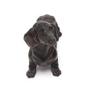 Shruti Dachshund figure front view Shruti Dachshund figure front view