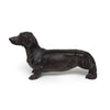 Shruti Dachshund side view Shruti Dachshund side view