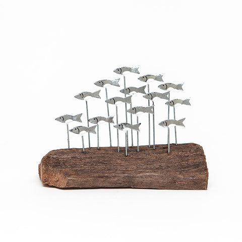 Shoeless Joe School of Sprats on Driftwood