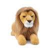 Borealis Kabelo Lion Front View