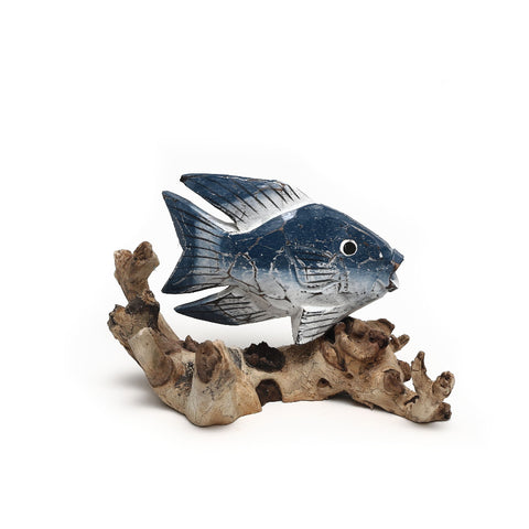 Gringo Fish on Driftwood