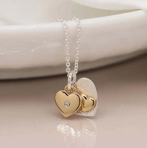 Peace of Mind PoM Silver and Gold Plated Double Heart Necklace