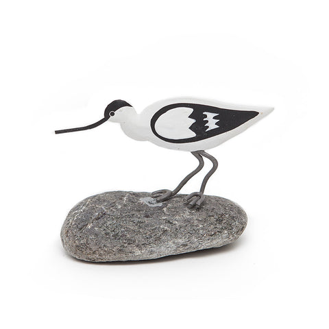 Shoeless Joe Avocet on Pebble