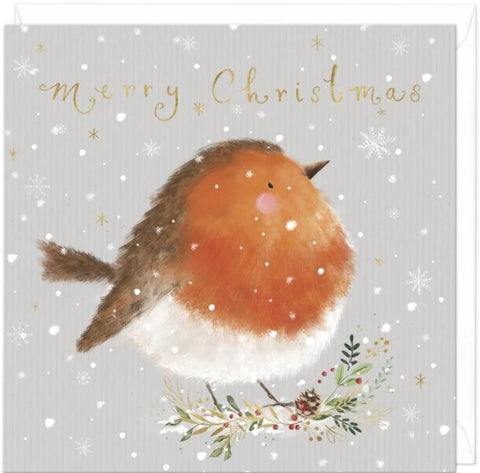 Robin Merry Christmas Card