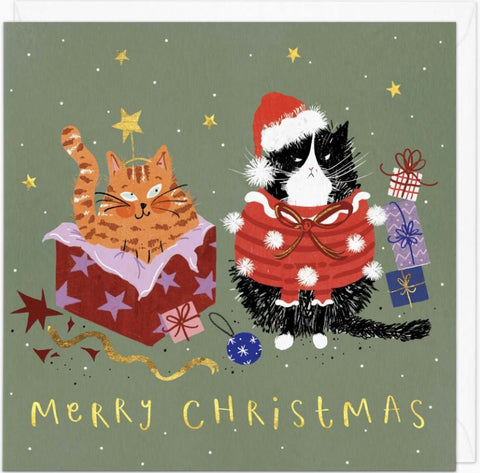 Cat in a Box Christmas Card