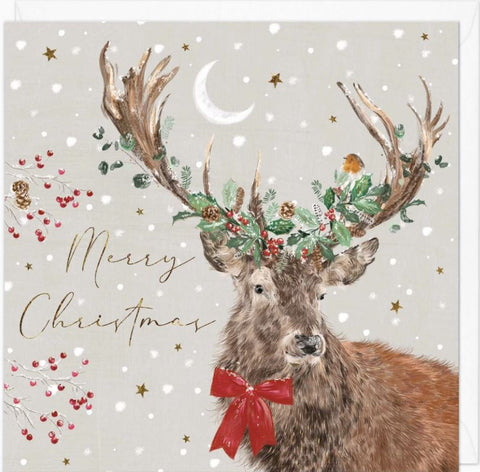 Robin in the Antlers Christmas Card