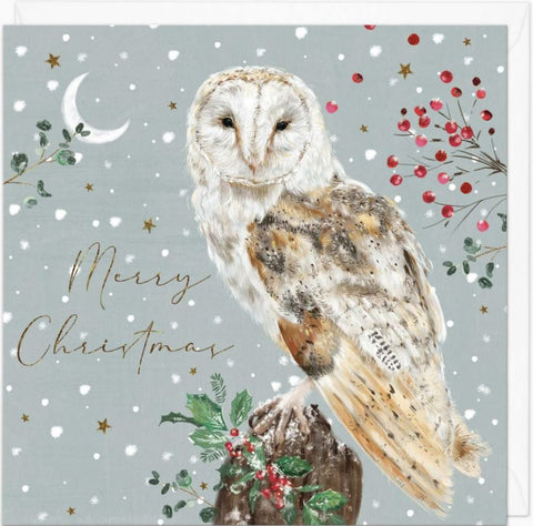 Owl and Berries Christmas Card
