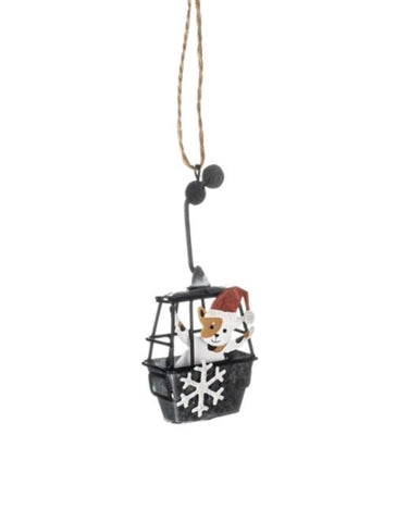 Shoeless Joe Cat in a Cable Car