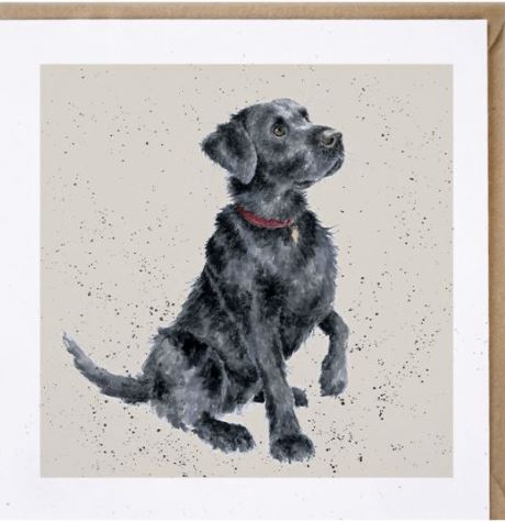 'Jack' Card Greeting Card from Wrendale