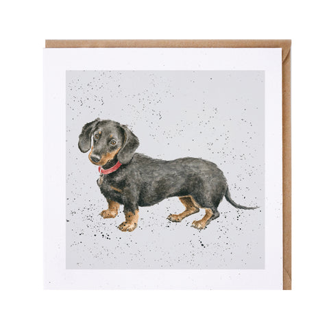 Dachshund Greeting Card from Wrendale