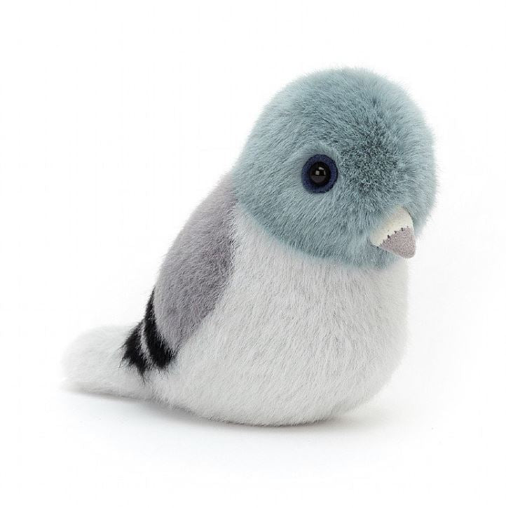 cuddly pigeon