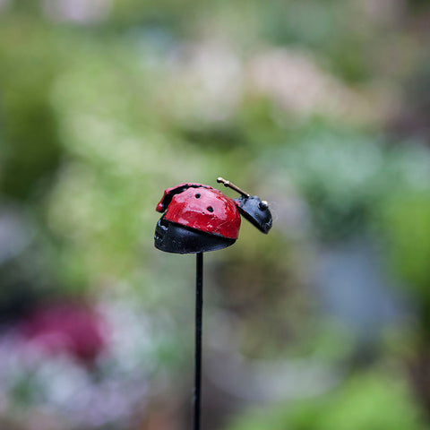 Ladybird on Stick Garden Decoration