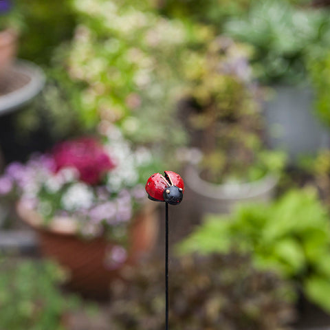 Ladybird on Stick Garden Decoration