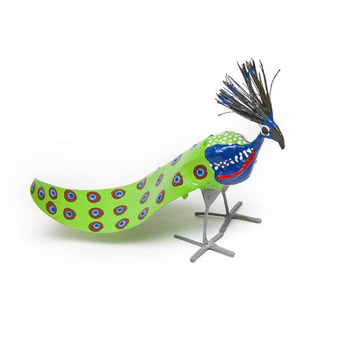 Seedpod Peacock by Tilnar Art