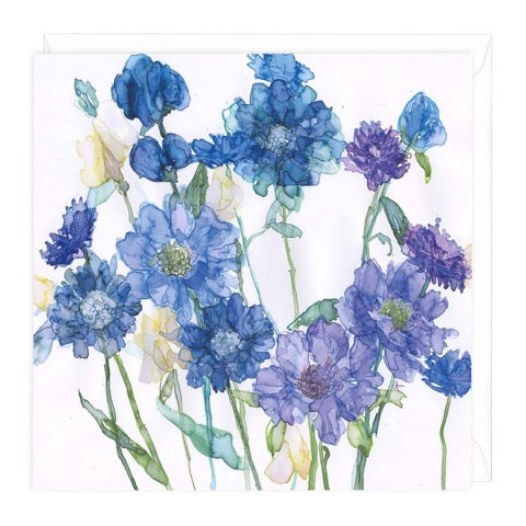 Cornflowers and Scabious Greeting Card